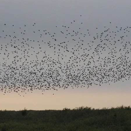 Zekine - 2-5km From The Sea By Interhome Holiday home